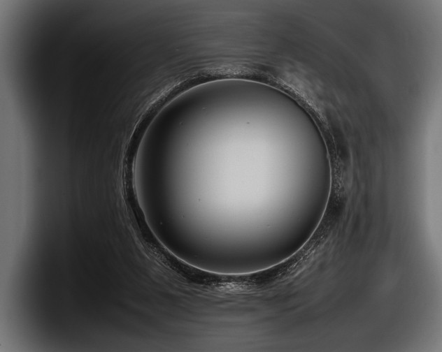X0000097960111200803241222