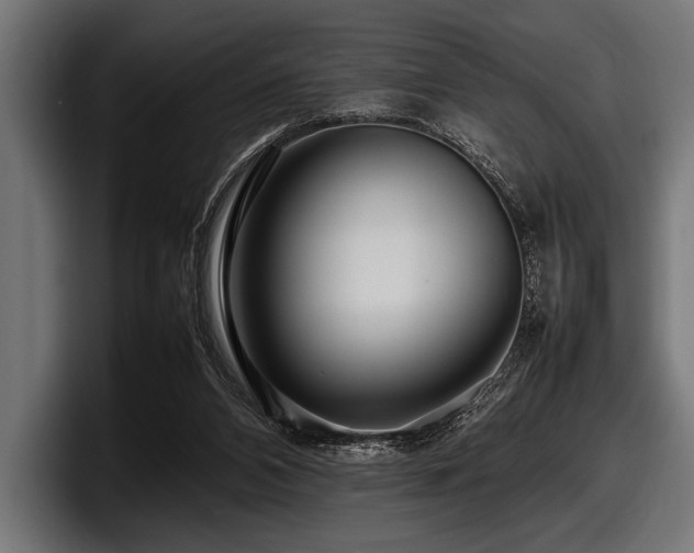 X0000097960112200803241222