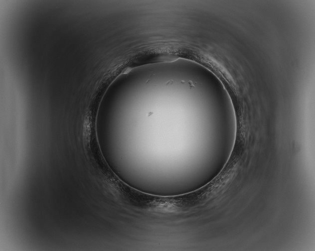 X0000097960113200803241222