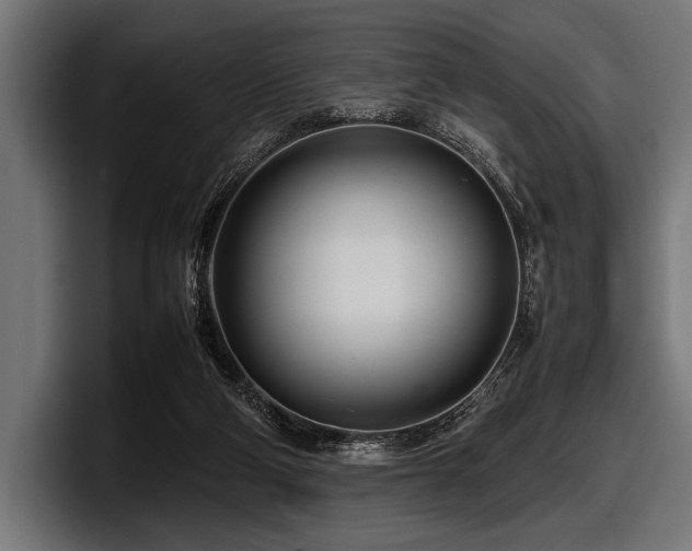 X0000097960114200803241222