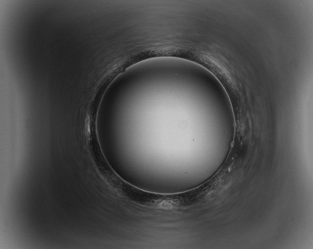 X0000097960115200803241222