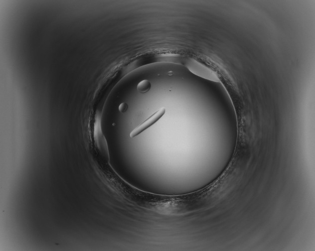 X0000097960116200803241222