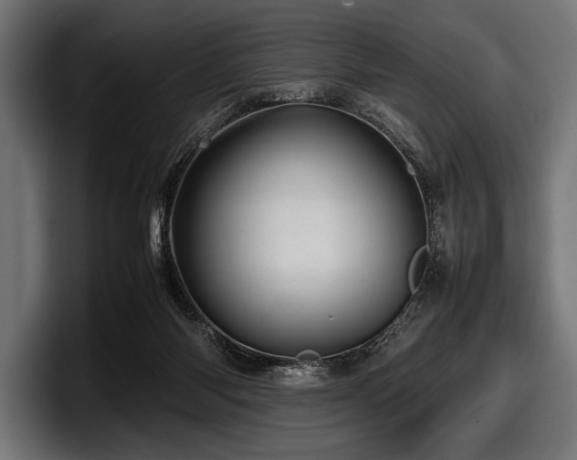 X0000097960118200803241221