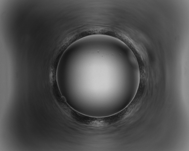 X0000097960119200803241221