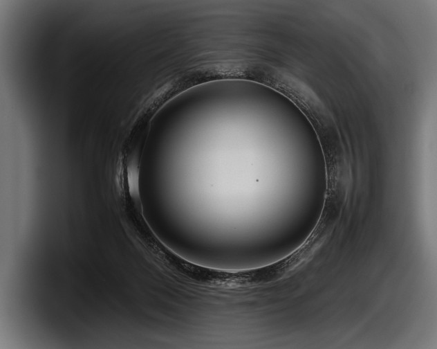 X0000097960120200803241221