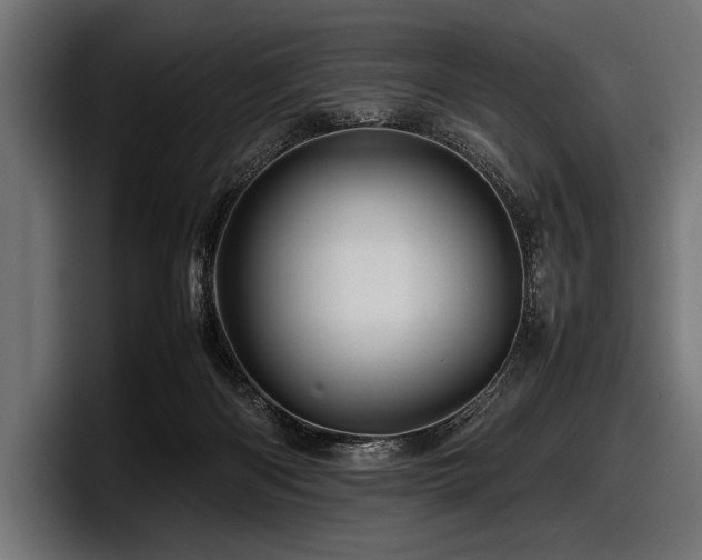 X0000097960122200803241221