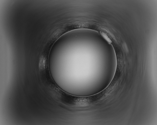 X0000097960123200803241221