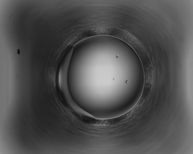 X0000097960124200803241221