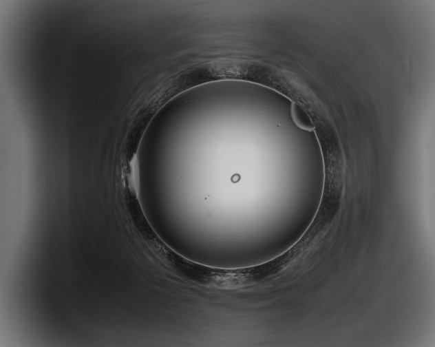 X0000097960125200803241221