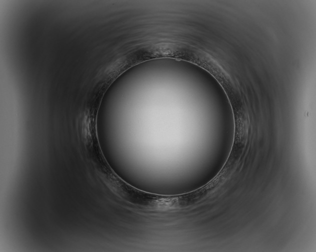X0000097960126200803241221