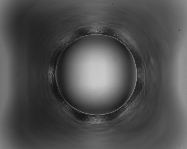 X0000097960127200803241221