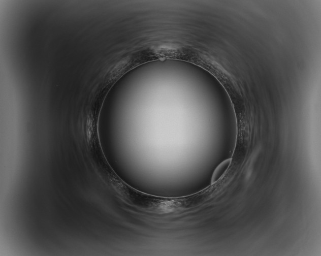X0000097960130200803241221