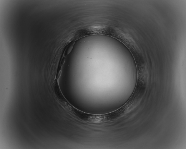 X0000097960131200803241221