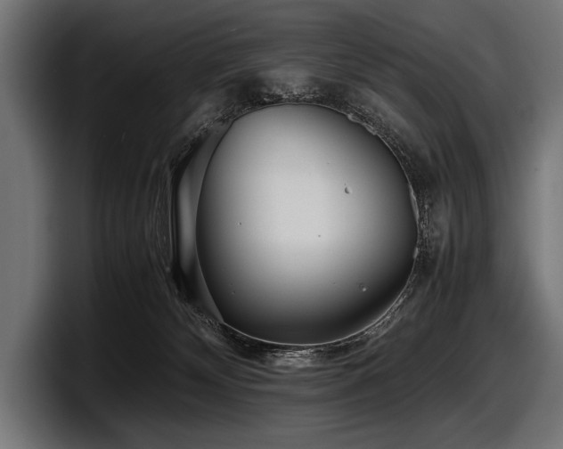 X0000097960132200803241221