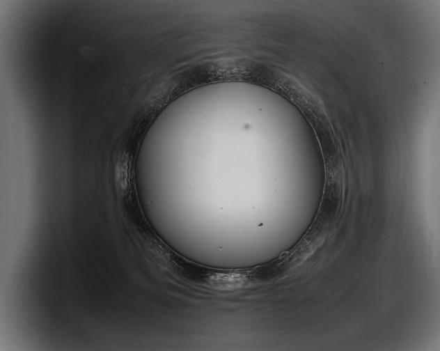 X0000097960133200803241221
