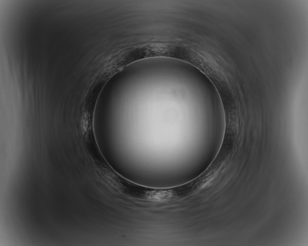 X0000097960135200803241221