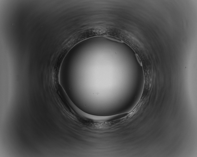 X0000097960136200803241221