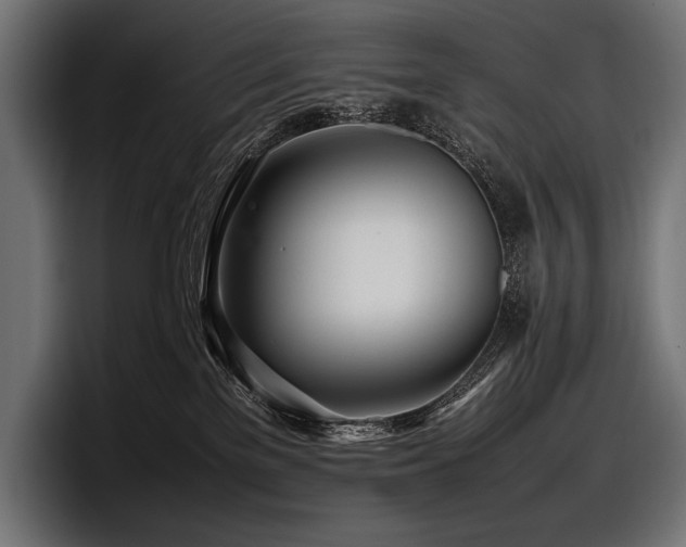X0000097960137200803241221