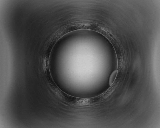 X0000097960138200803241221