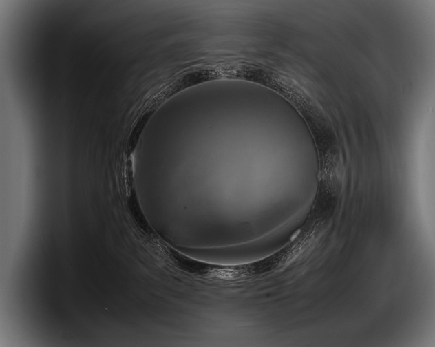 X0000097960139200803241221