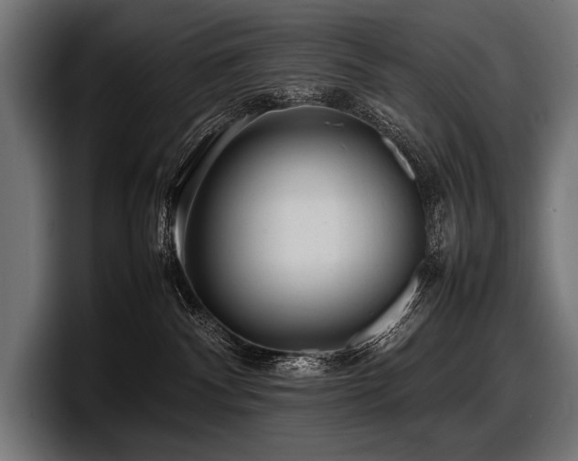 X0000097960140200803241221