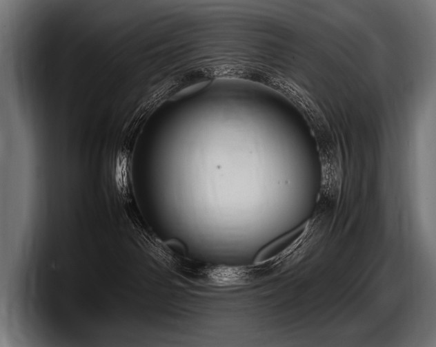 X0000097960142200803241221