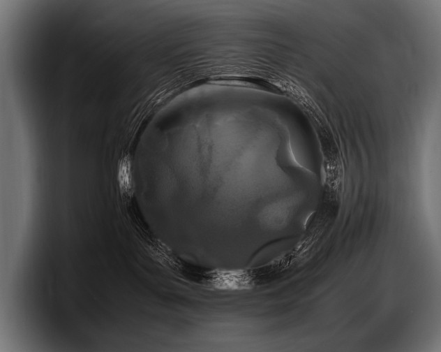 X0000097960143200803241221