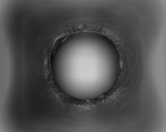 X0000097960144200803241221