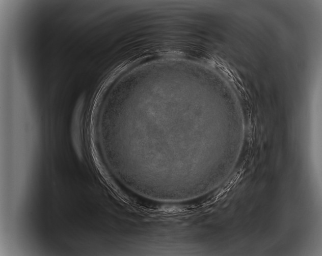 X0000097960145200803241221