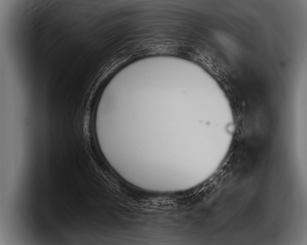 X0000097960146200803241221
