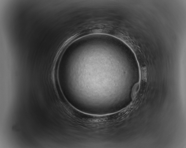 X0000097960147200803241221