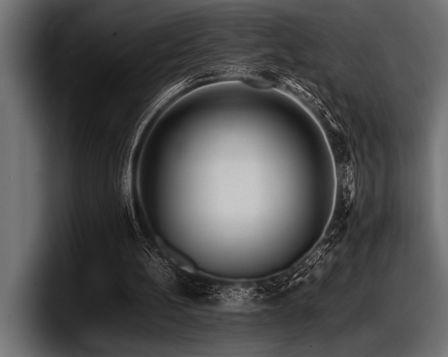 X0000097960148200803241221