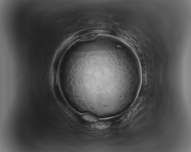 X0000097960149200803241221