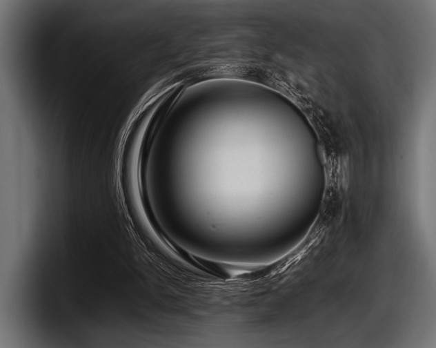 X0000097960150200803241221