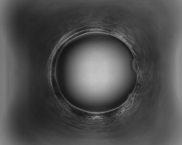 X0000097960151200803241221