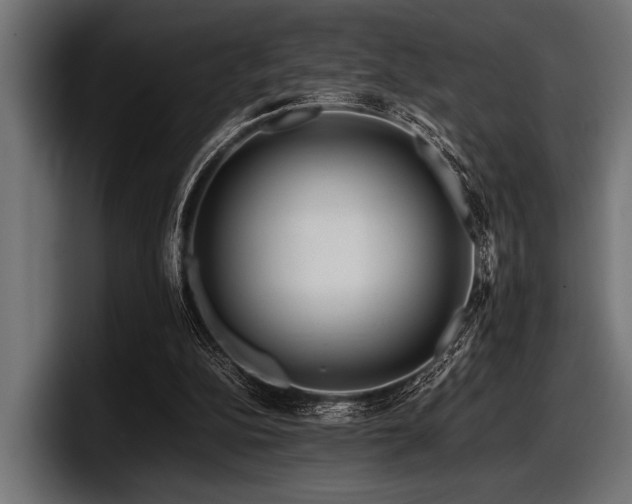 X0000097960152200803241221