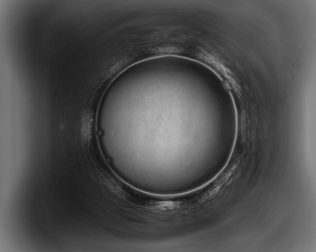 X0000097960153200803241221