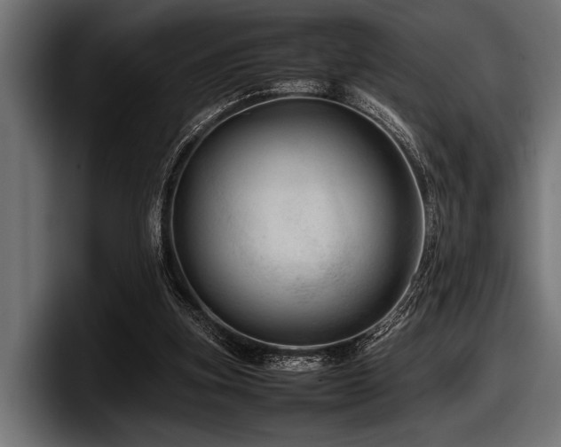 X0000097960155200803241221