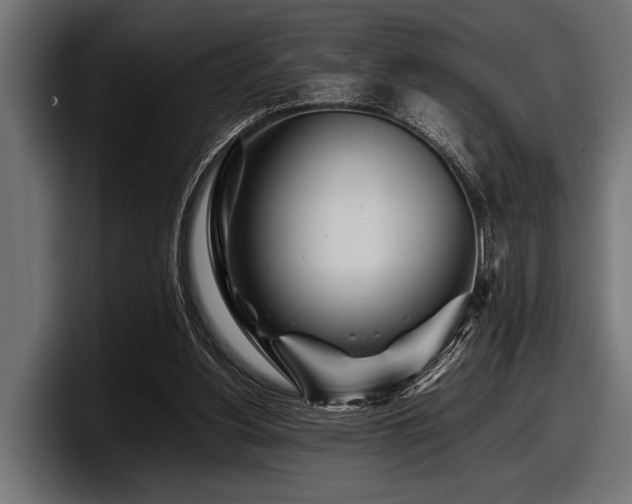 X0000097960156200803241221