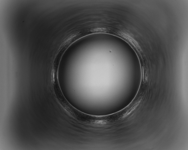X0000097960157200803241221