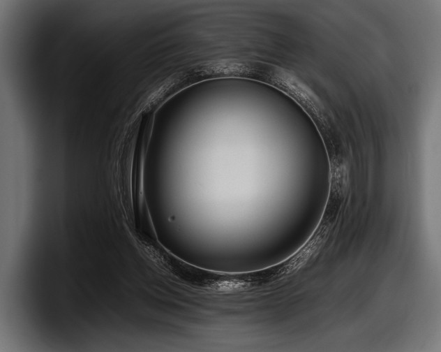 X0000097960158200803241221