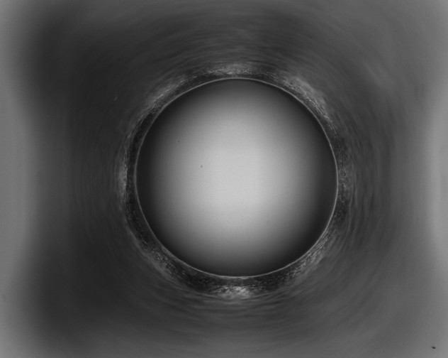 X0000097960159200803241221