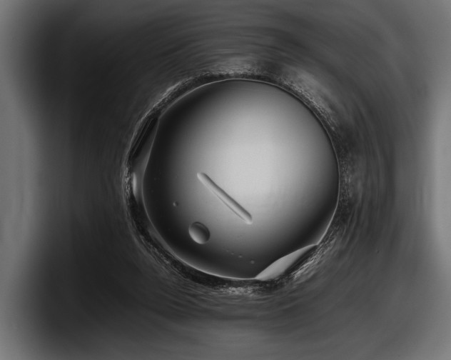 X0000097960160200803241221