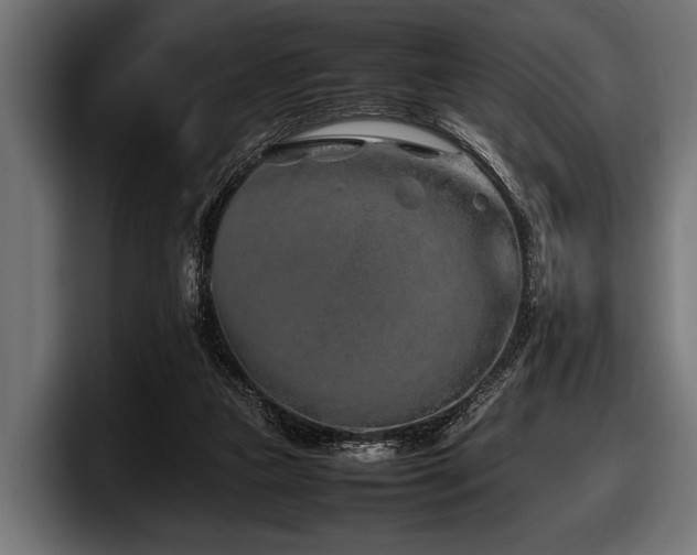 X0000097960161200803241221