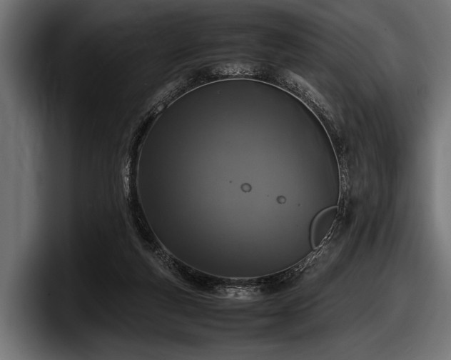 X0000097960163200803241221