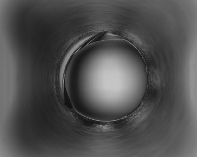 X0000097960164200803241221