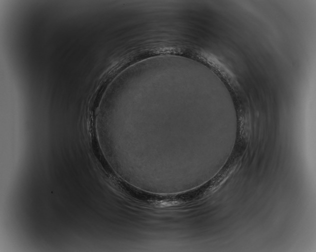 X0000097960165200803241221