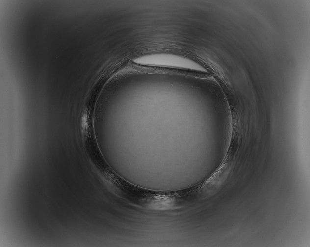 X0000097960166200803241221