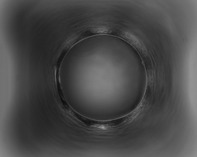 X0000097960167200803241221
