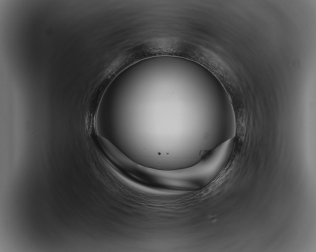 X0000097960168200803241221